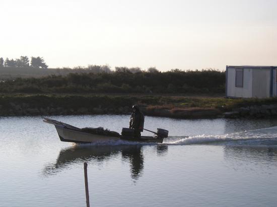 Paysage étang