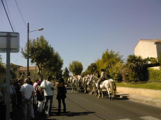 Féria des vendanges 2010