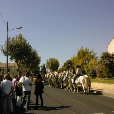 Féria des vendanges 2010