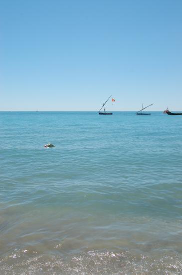 Fête de la mer