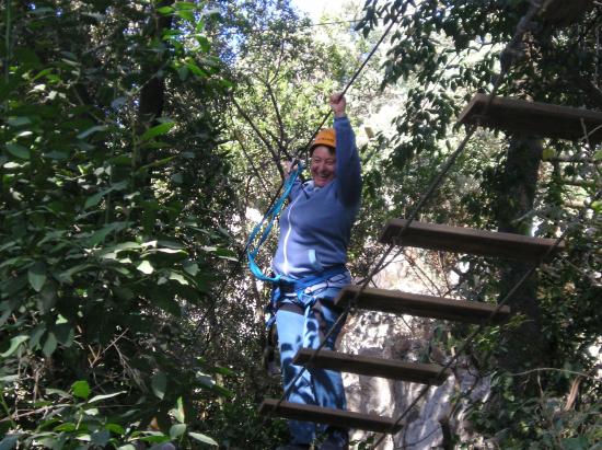 Parcours dans les branches